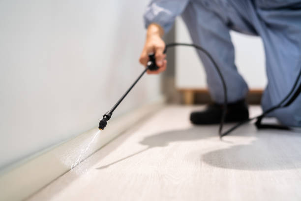 Professional exterminator conducting IPM assessment in Walworth