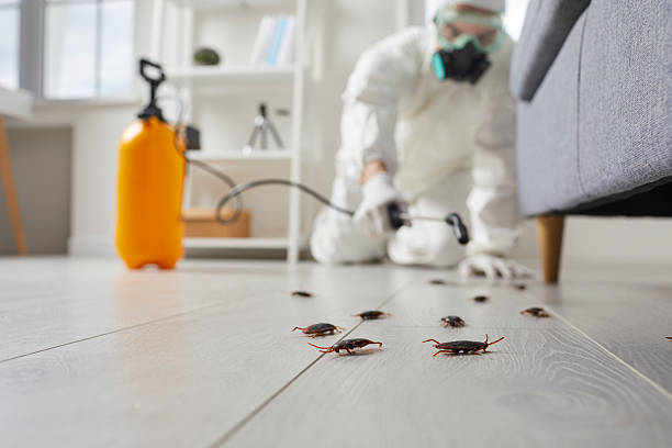 Commercial Rodent Management in Walworth
